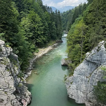 Schildwolf 菲伯布伦