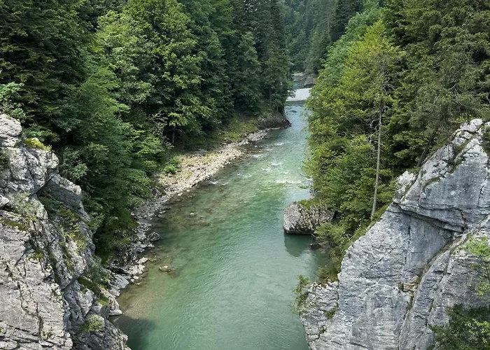 Schildwolf 菲伯布伦